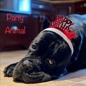 Meet your Posher, Ro